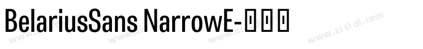 BelariusSans NarrowE字体转换 BelariusSans NarrowE字体转换